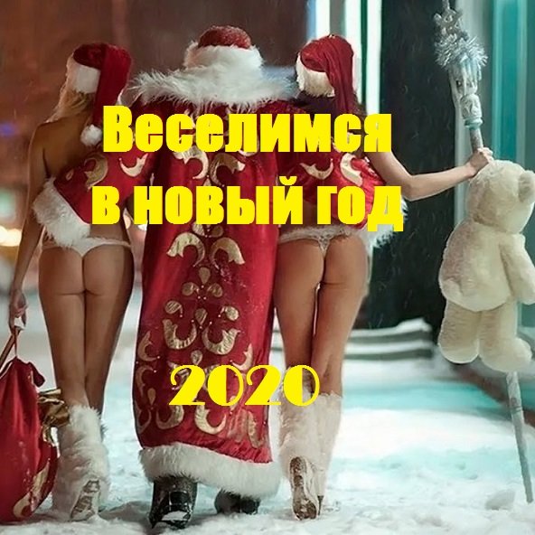 Веселимся в Новый год 2020 (2019)