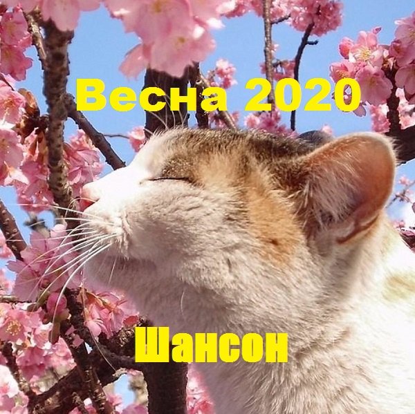 Весна 2020. Шансон (2020)