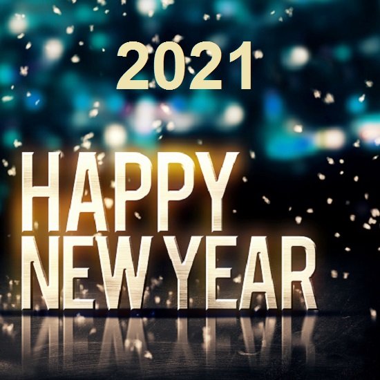 Happy New Year (2021)