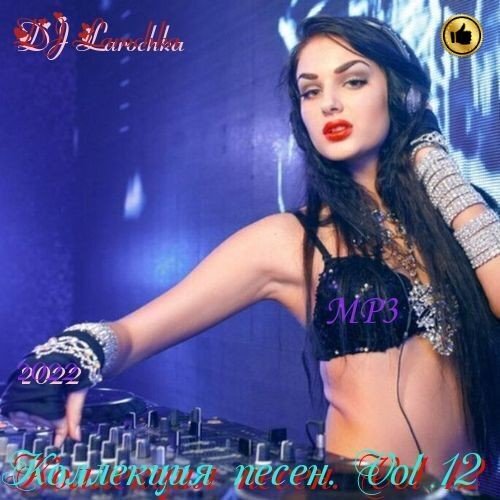 Постер к DJ Larochka. Коллекция песен. Vol 12 (2022)