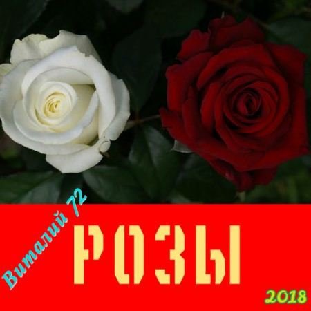 Cборник - Розы (2018)